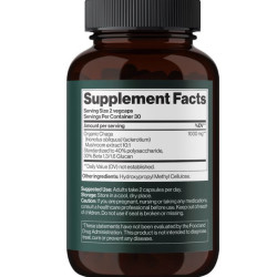 Mind Shi, Chaga Mushroom, Чага-гриб,1000 мг, 60 капсул